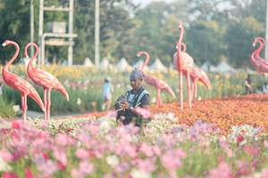 BIB: 
                            <button type="button" onclick="openModal(27344089)" class="btn btn-primary btn-sm float-right btn-popup" data-toggle="modal" data-target=".modal-high-quality">
                        <i class="fas fa-shopping-cart"></i> Add to Cart
                    </button>
                                            <button type="button" onclick="isThisMe(27344089, true)" class="btn btn-success btn-sm float-right btn-popup btn-isme hidden" data-toggle="tooltip" data-placement="bottom" title="นี่คือรูปของคุณใช่ไหม คลิกที่นี่เพื่อเอาเข้าอัลบั้ม">
                        <i class="fas fa-plus"></i> Add to album
                    </button>
                    <button type="button" onclick="isThisMe(27344089, false)" class="btn btn-warning btn-sm float-right btn-popup btn-isnotme hidden">
                        <i class="fas fa-ban"></i> Remove from album
                    </button>